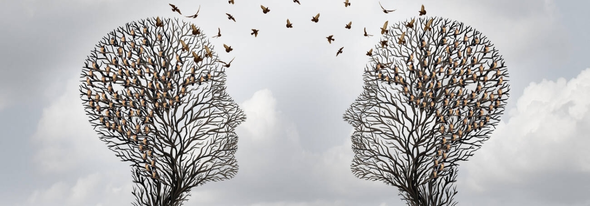 Soft Skills per Ingegneri: L'Arte della Comunicazione e del Teamwork