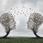 soft skills: l’arte della comunicazione e del teamwork Soft Skills per Ingegneri: L'Arte della Comunicazione e del Teamwork