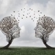 Soft Skills per Ingegneri: L'Arte della Comunicazione e del Teamwork 2 Soft Skills per Ingegneri: L'Arte della Comunicazione e del Teamwork