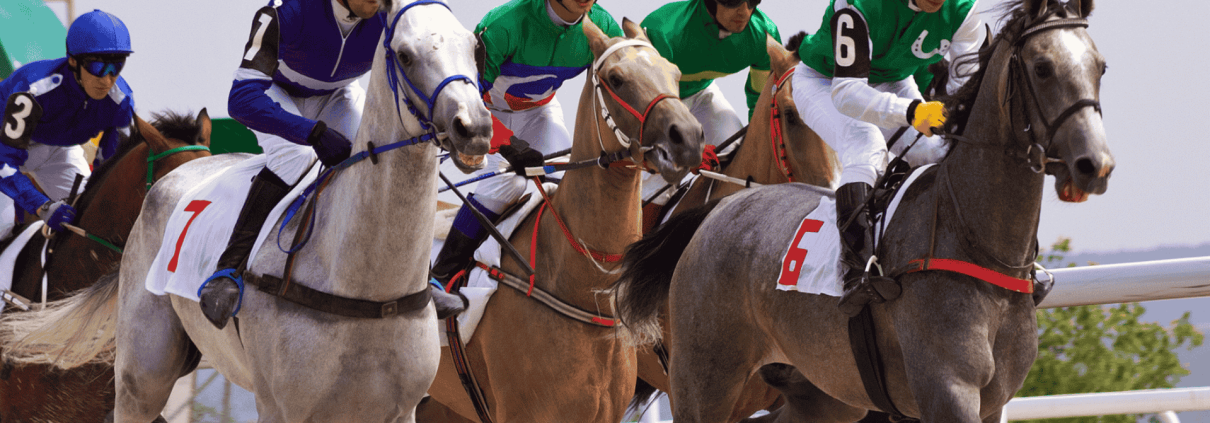 La teoria del cavallo morto