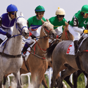 La teoria del cavallo morto