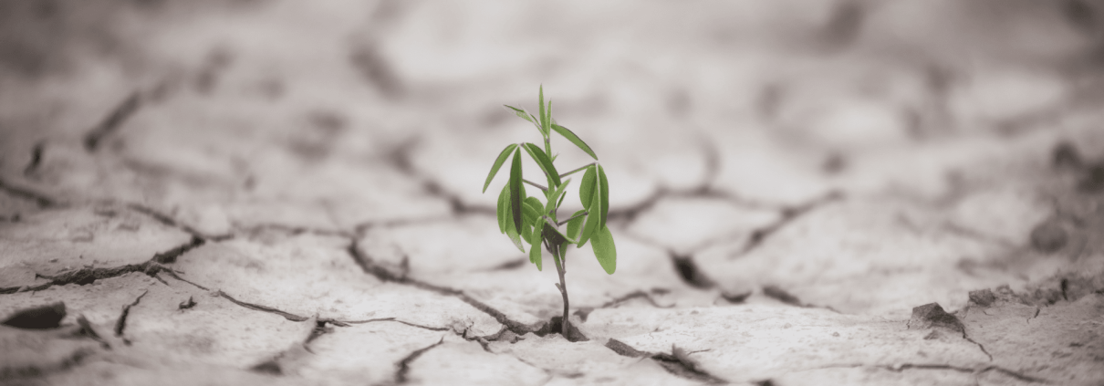 Stress in edilizia: come la resilienza trasforma ingegneri, architetti e tecnici 1 resilienza