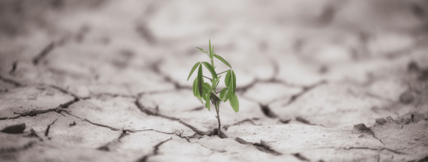 Stress in edilizia: come la resilienza trasforma ingegneri, architetti e tecnici 314 resilienza